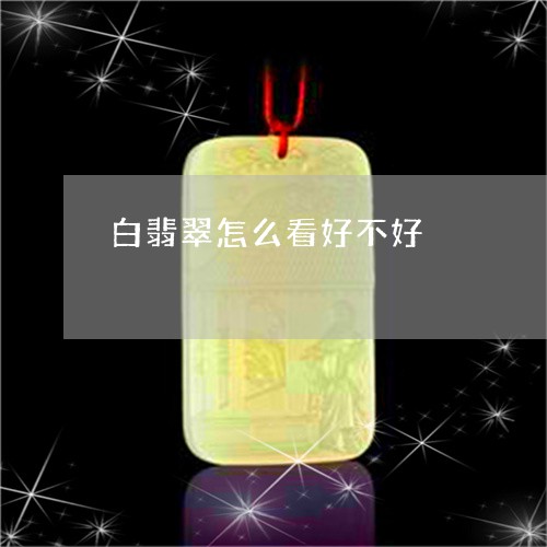 白翡翠怎么看好不好/2023041342816 白翡翠怎么看好不好/2023041342816