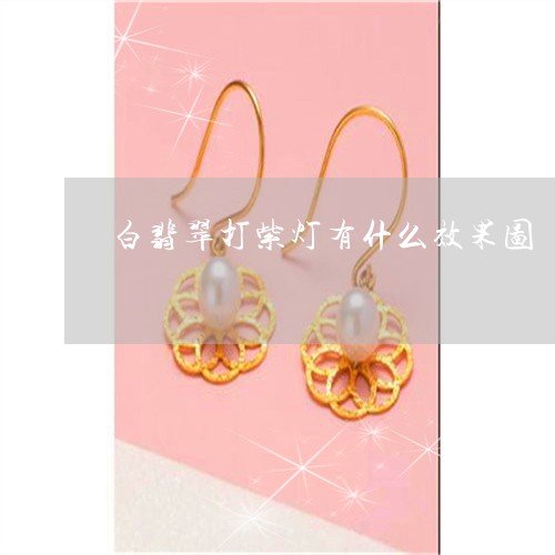 白翡翠打紫灯有什么效果图/2023062906950