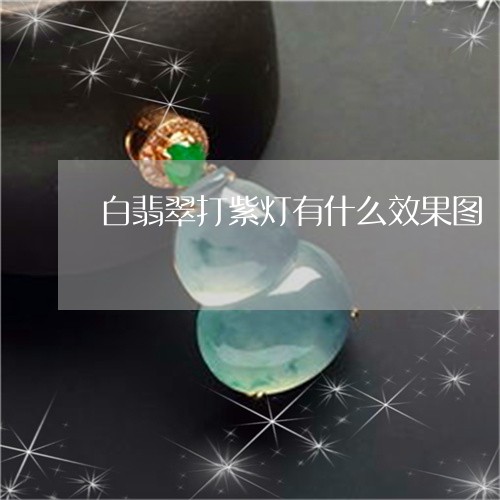 白翡翠打紫灯有什么效果图/2023062961404