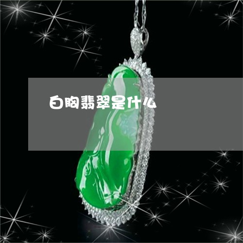 白胸翡翠是什么/2023032939358