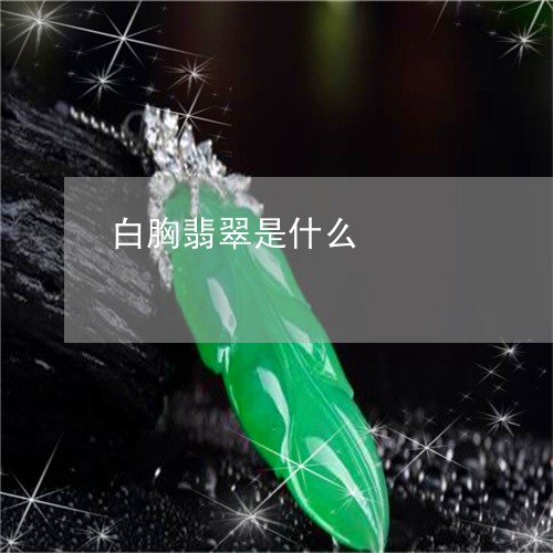 白胸翡翠是什么/2023032965148