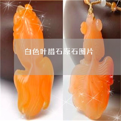 白色叶腊石原石图片/2023041328350
