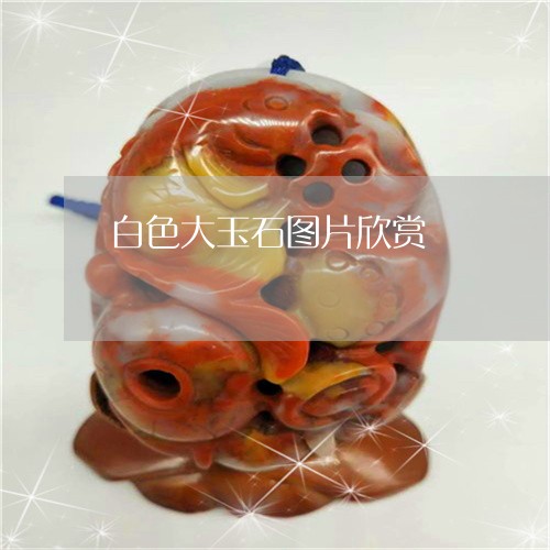 白色大玉石图片欣赏/2023041382793