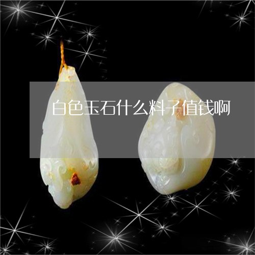 白色玉石什么料子值钱啊/2023062739271