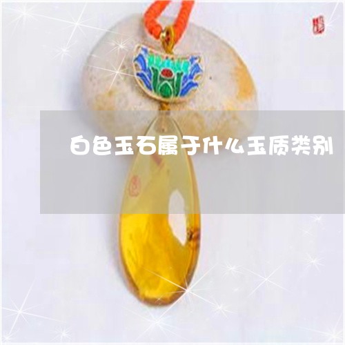 白色玉石属于什么玉质类别/2023062813048 白色玉石属于什么玉质类别/2023062813048