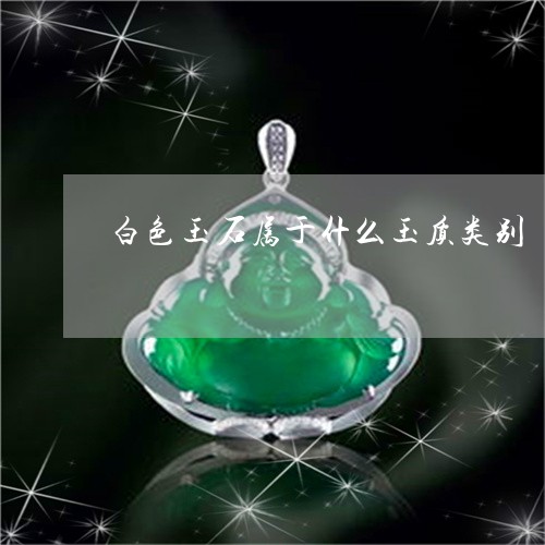 白色玉石属于什么玉质类别/2023062816049 白色玉石属于什么玉质类别/2023062816049