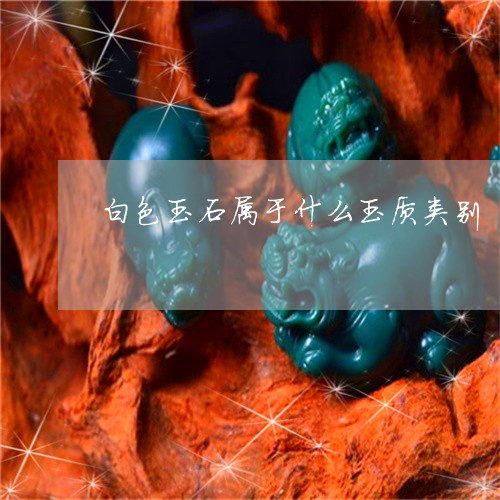 白色玉石属于什么玉质类别/2023062893837 白色玉石属于什么玉质类别/2023062893837