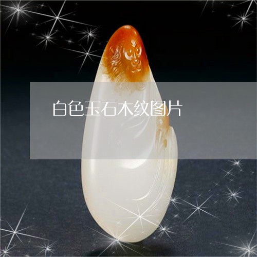 白色玉石木纹图片/2023031549626