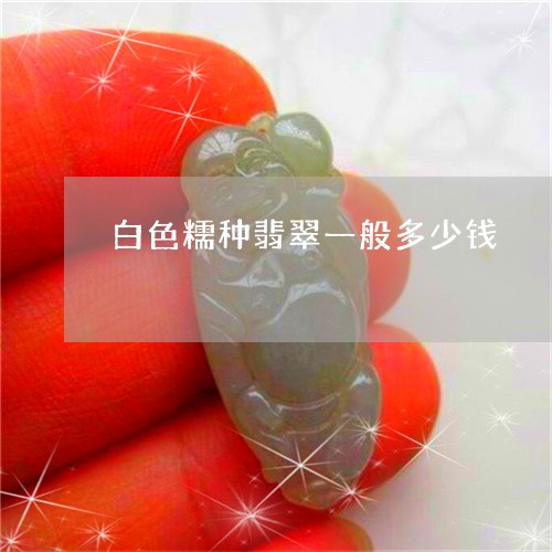 白色糯种翡翠一般多少钱/2023061912827