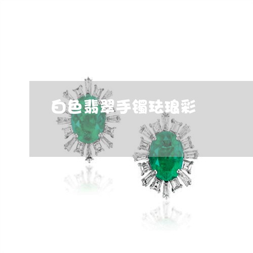 白色翡翠手镯珐琅彩/2023041343625