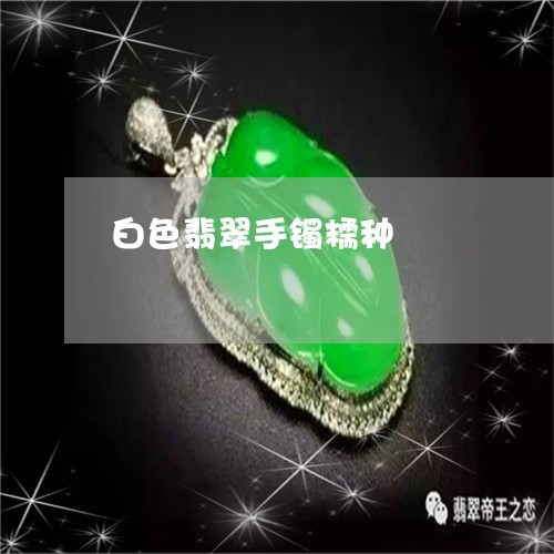 白色翡翠手镯糯种/2023031550705 白色翡翠手镯糯种/2023031550705