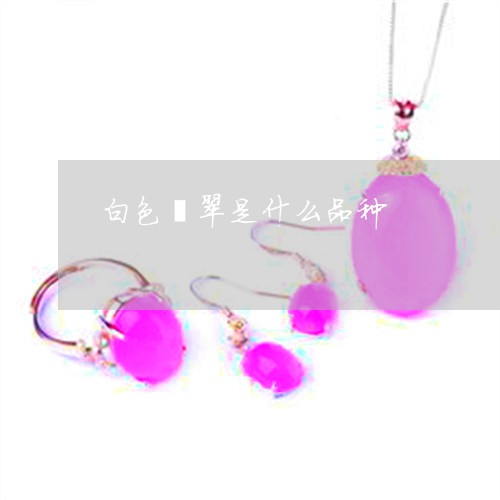 白色翡翠是什么品种/2023041349472