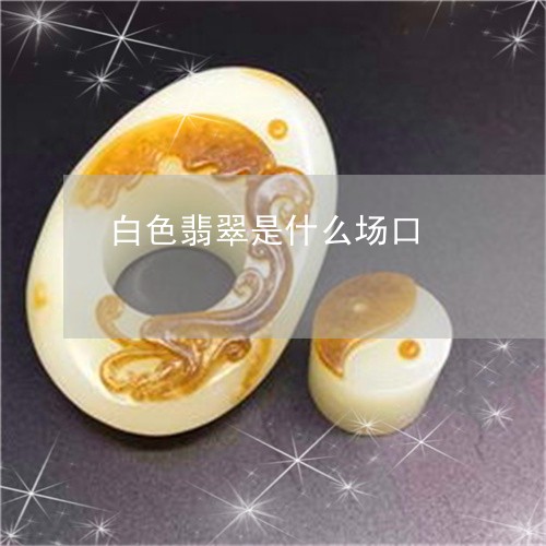 白色翡翠是什么场口/2023041349594