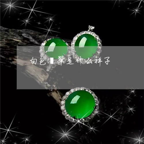白色翡翠是什么样子/2023041331494 白色翡翠是什么样子/2023041331494
