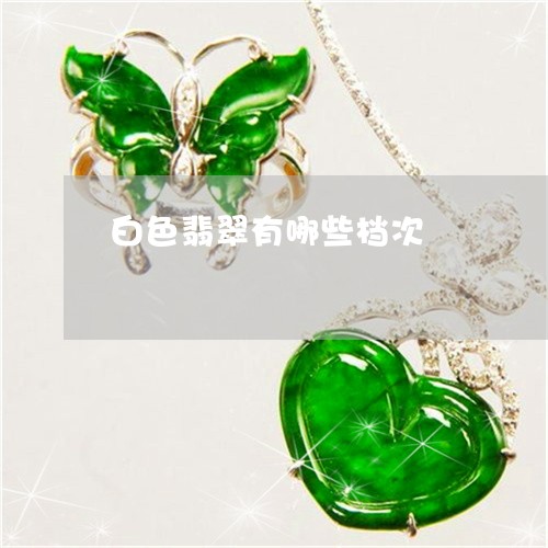 白色翡翠有哪些档次/2023041363905 白色翡翠有哪些档次/2023041363905