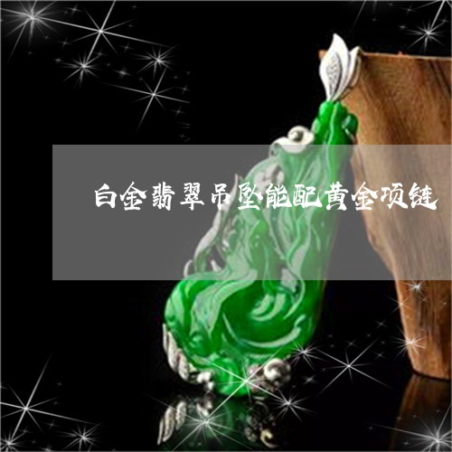 白金翡翠吊坠能配黄金项链/2023071172472 白金翡翠吊坠能配黄金项链/2023071172472
