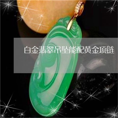 白金翡翠吊坠能配黄金项链/2023071192894 白金翡翠吊坠能配黄金项链/2023071192894