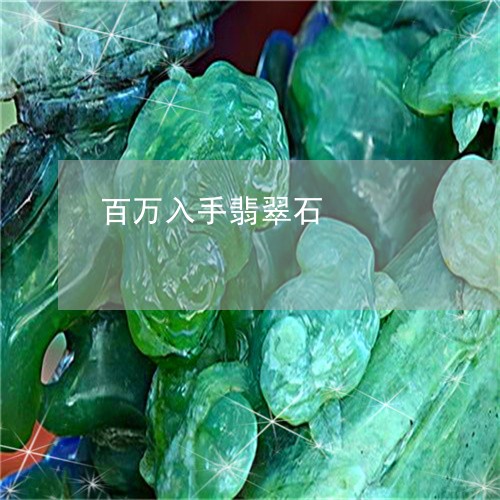 百万入手翡翠石/2023032926158