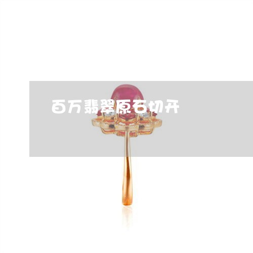 百万翡翠原石切开/2023031522694 百万翡翠原石切开/2023031522694