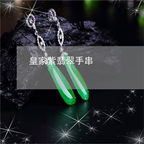 皇家紫翡翠手串/2023032978471 皇家紫翡翠手串/2023032978471