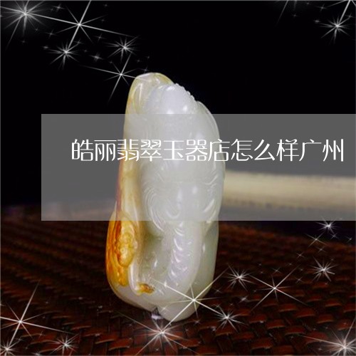 皓丽翡翠玉器店怎么样广州/2023071105948