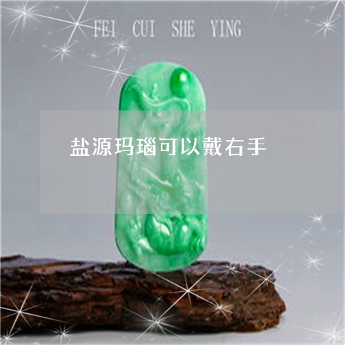 盐源玛瑙可以戴右手/2023041361727