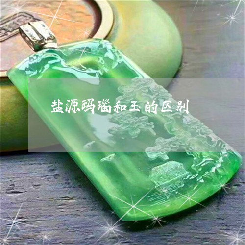 盐源玛瑙和玉的区别/2023041340390