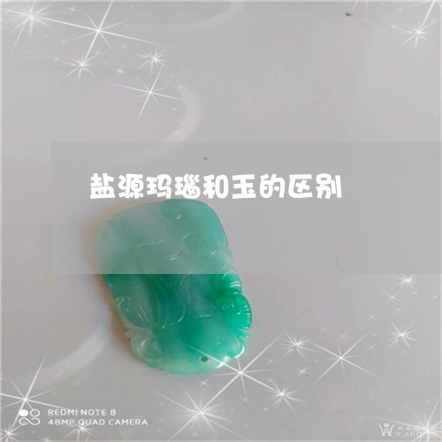盐源玛瑙和玉的区别/2023041397978