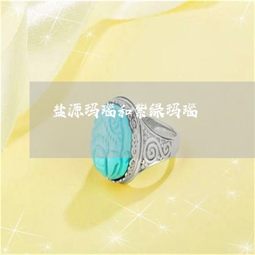盐源玛瑙和紫绿玛瑙/2023041318360 盐源玛瑙和紫绿玛瑙/2023041318360