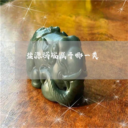 盐源玛瑙属于哪一类/2023041363826 盐源玛瑙属于哪一类/2023041363826