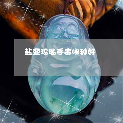 盐源玛瑙手串哪种好/2023041396846