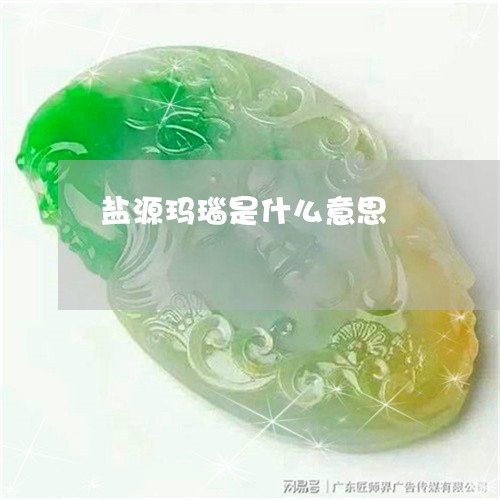 盐源玛瑙是什么意思/2023041351372