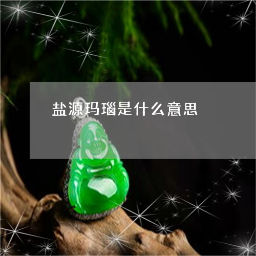 盐源玛瑙是什么意思/2023041362825