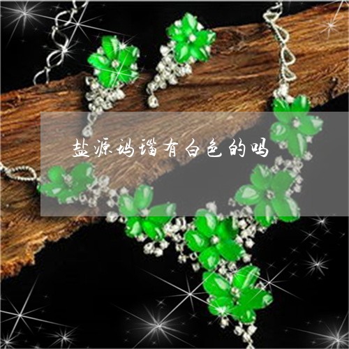 盐源玛瑙有白色的吗/2023041396948