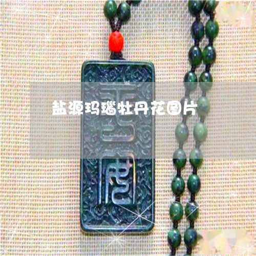 盐源玛瑙牡丹花图片/2023041350482