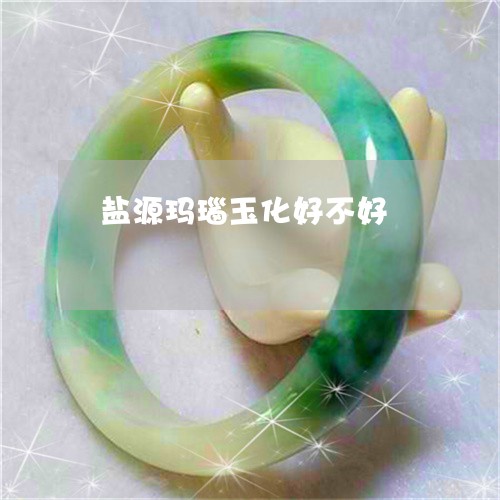 盐源玛瑙玉化好不好/2023041393714 盐源玛瑙玉化好不好/2023041393714