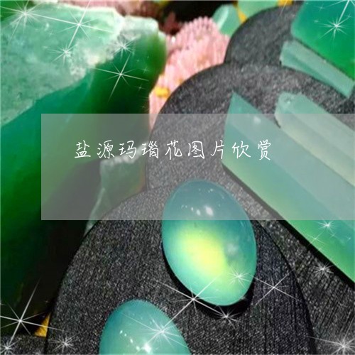 盐源玛瑙花图片欣赏/2023041330605