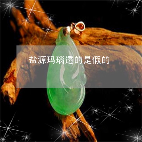 盐源玛瑙透的是假的/2023041330472 盐源玛瑙透的是假的/2023041330472