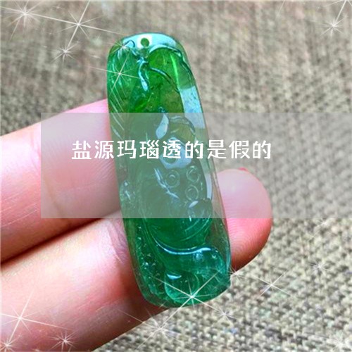 盐源玛瑙透的是假的/2023041337169 盐源玛瑙透的是假的/2023041337169