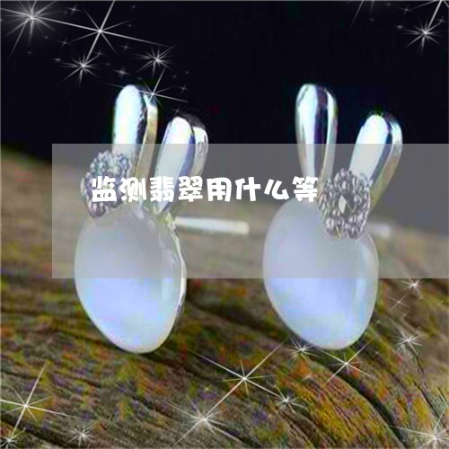监测翡翠用什么等/2023031509480 监测翡翠用什么等/2023031509480