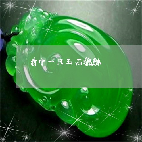 看中一只玉石貔貅/2023031573939 看中一只玉石貔貅/2023031573939