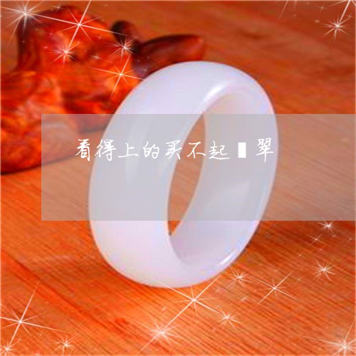 看得上的买不起翡翠/2023041301572 看得上的买不起翡翠/2023041301572