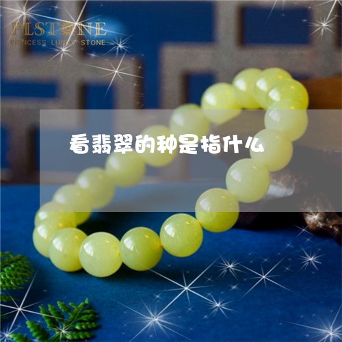 看翡翠的种是指什么/2023041339684