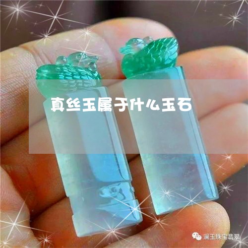 真丝玉属于什么玉石/2023041322594