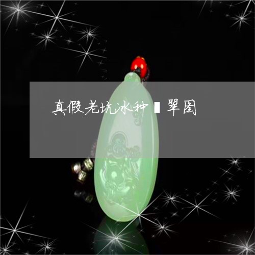 真假老坑冰种翡翠图/2023041349272 真假老坑冰种翡翠图/2023041349272