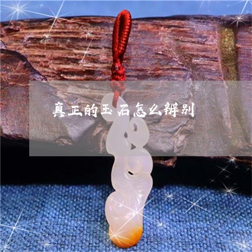 真正的玉石怎么辨别/2023041349282