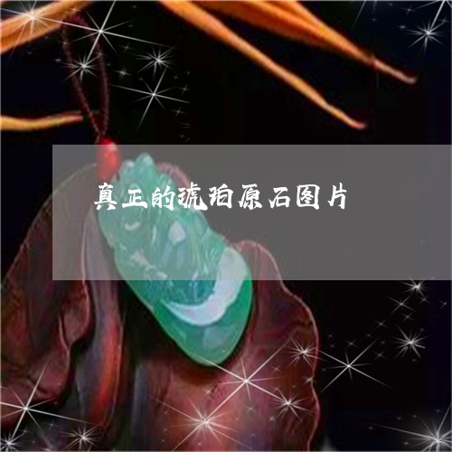 真正的琥珀原石图片/2023041352615