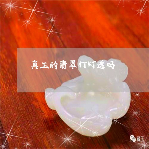 真正的翡翠打灯透吗/2023041339403 真正的翡翠打灯透吗/2023041339403