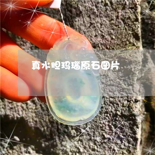 真水胆玛瑙原石图片/2023041349602