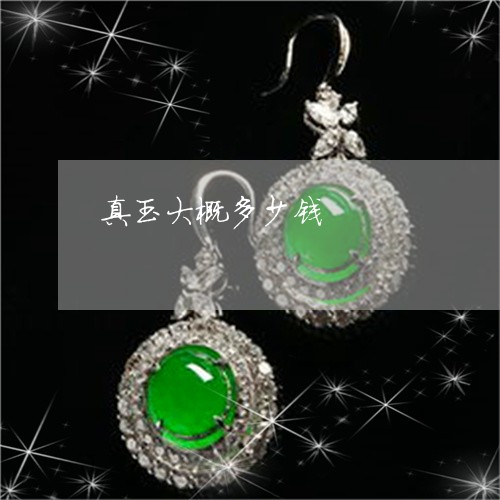 真玉大概多少钱/2023032818080 真玉大概多少钱/2023032818080
